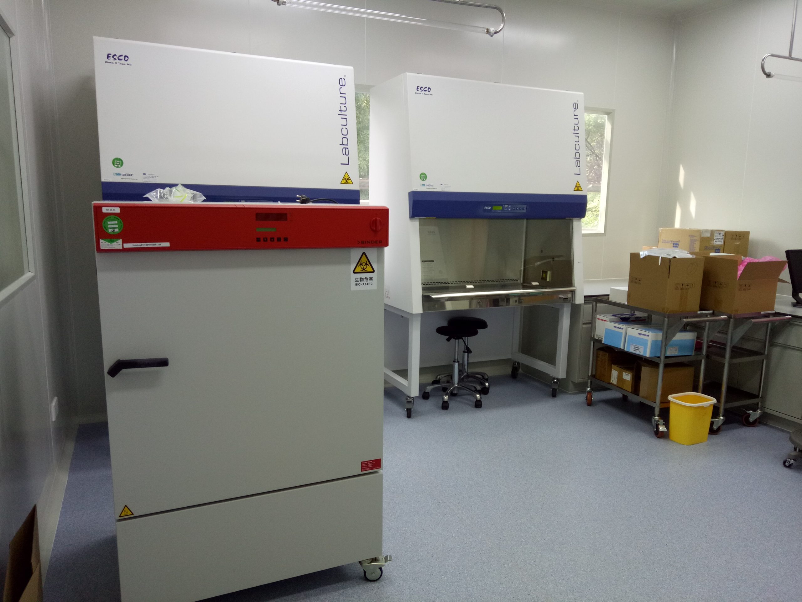 Microbiology laboratory workspace inside the Shanghai project