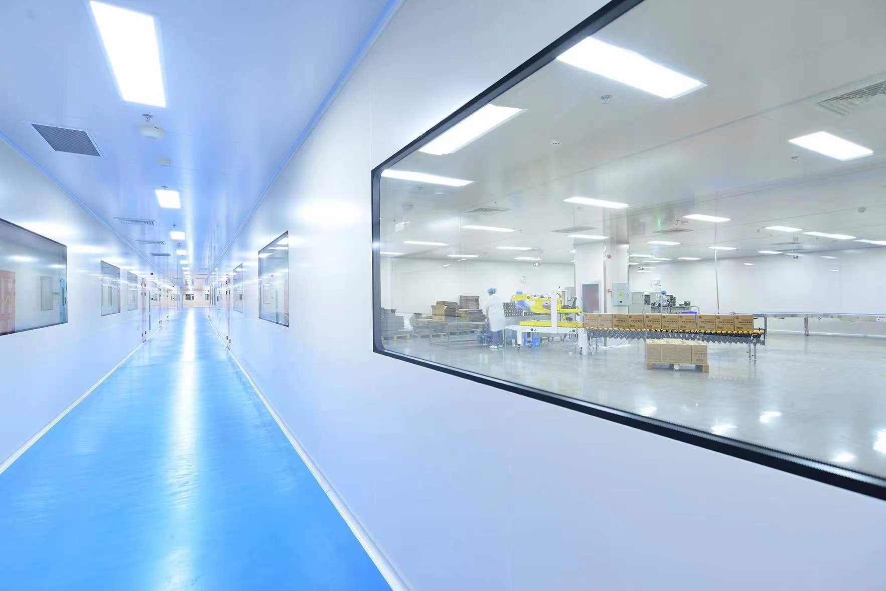 Food production equipment viewed through a cleanroom window at the Anhui bakery workshop